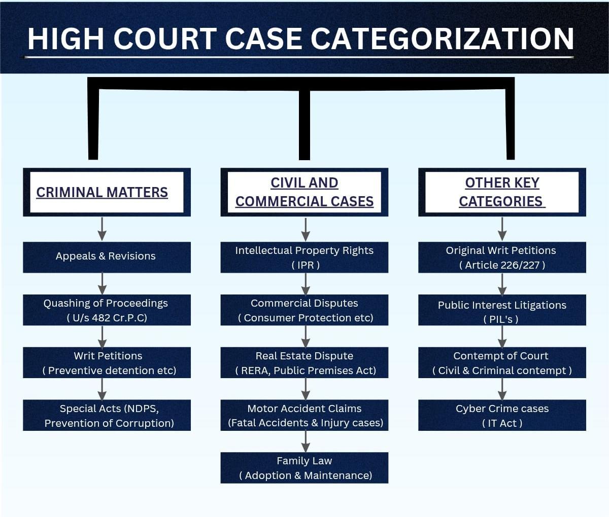 A Comprehensive Guide to Case Categorization in the Delhi High Court